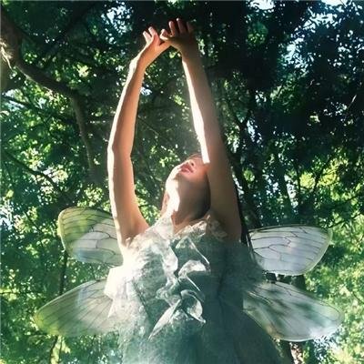 情深不寿终白头